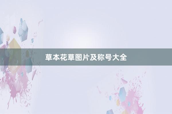 草本花草图片及称号大全
